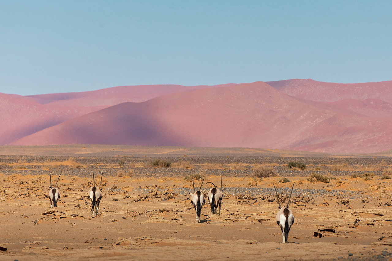 Wilderness Little Kulala Sossusvlei Namibia Purpose