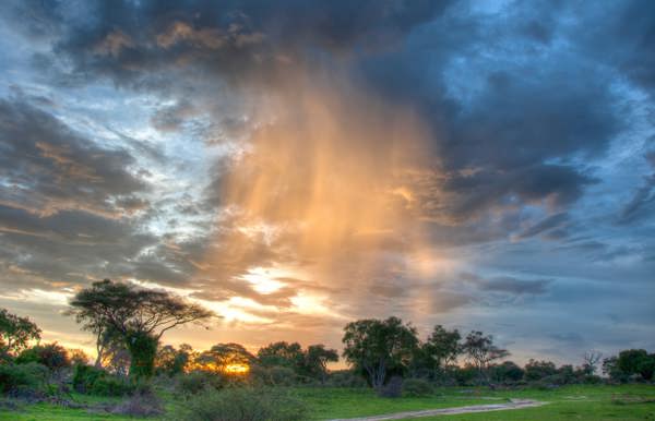 A dramatic African sunset over the tree line at Mombo Camp, Okavango Delta, with glowing orange sun rays filtering through dark, moody rain clouds.