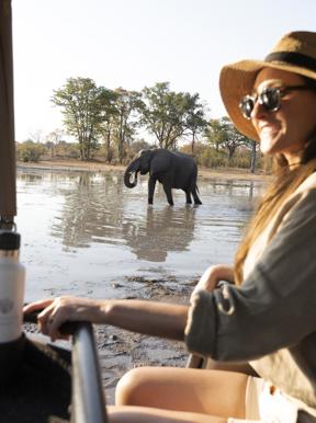 Watching an elephant from a game drive vehicle