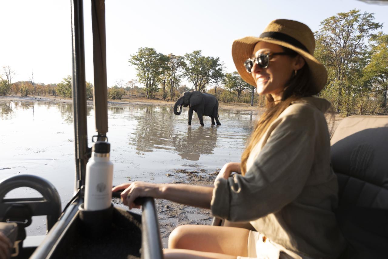 Watching an elephant from a game drive vehicle