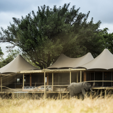 Wilderness Little Mombo Botswana Suite Exterior
