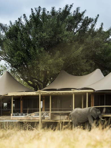 Wilderness Little Mombo Botswana Suite Exterior