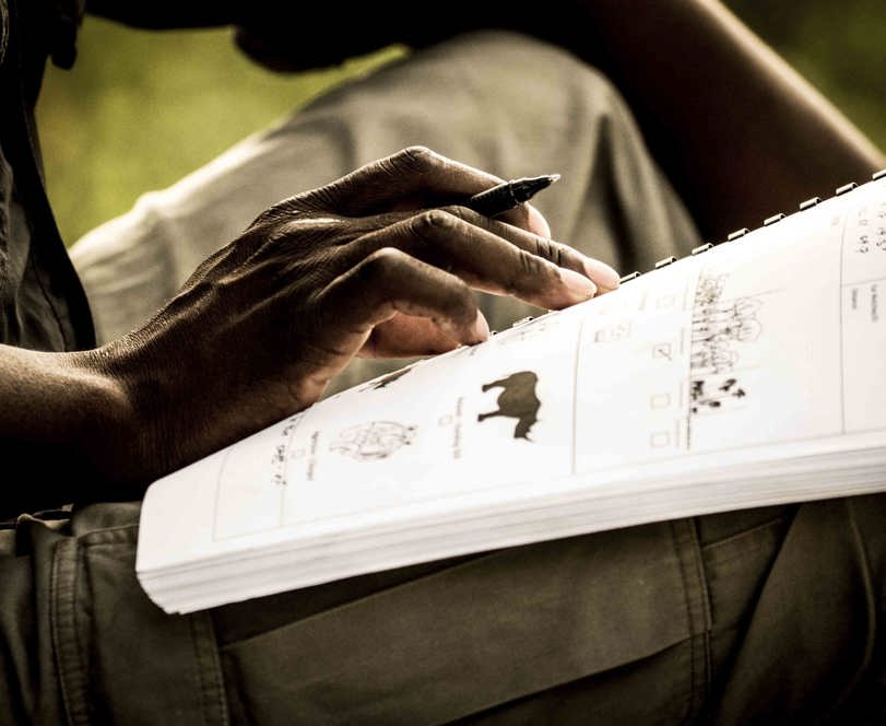 Wilderness Impact Protect Wildlife Rhino