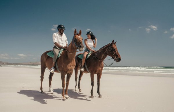 Cape Town Horse riding Wilderness Touring