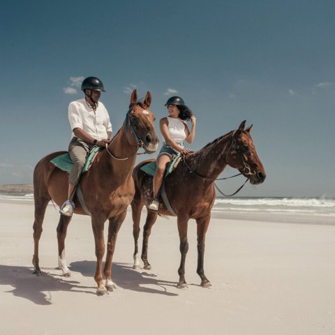 Cape Town Horse riding Wilderness Touring