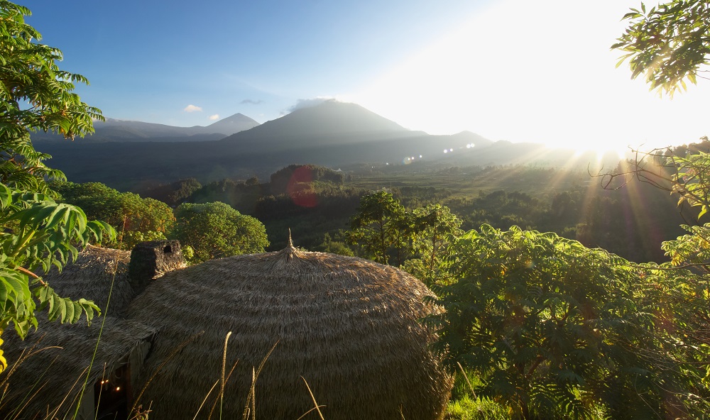 Bisate Lodge in Rwanda luxury gorilla trekking destination