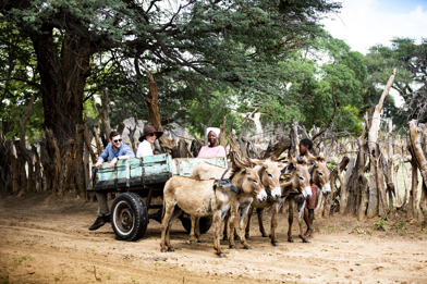 Zimbabwe Local Village Culture