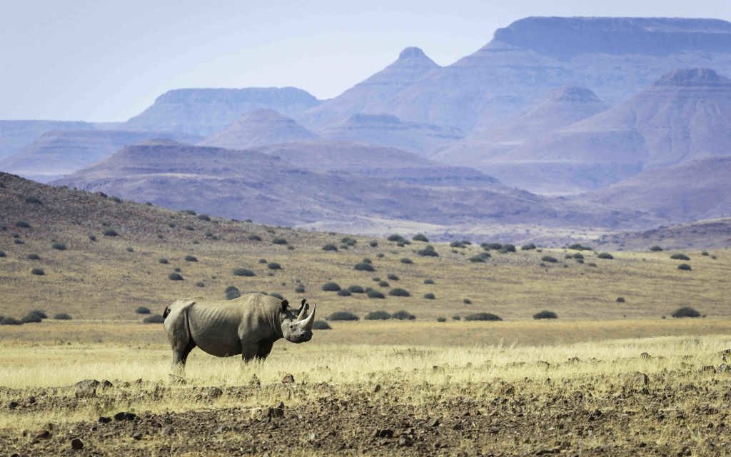 Wilderness Experiences Conservation Endangered Species