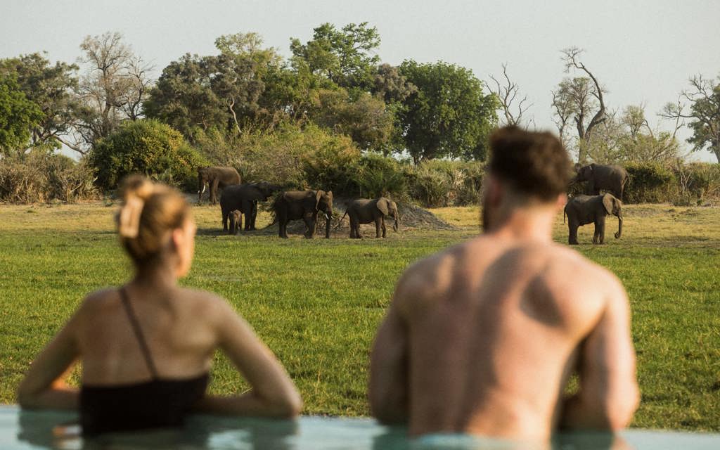 Couple watching elephants from Mombo sanctuary pool