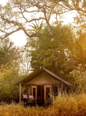 Wilderness Busanga Bush Camp Zambia Accommodation Tent Exterior