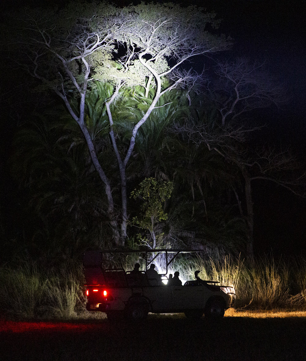Wilderness Experiences Night Drive 