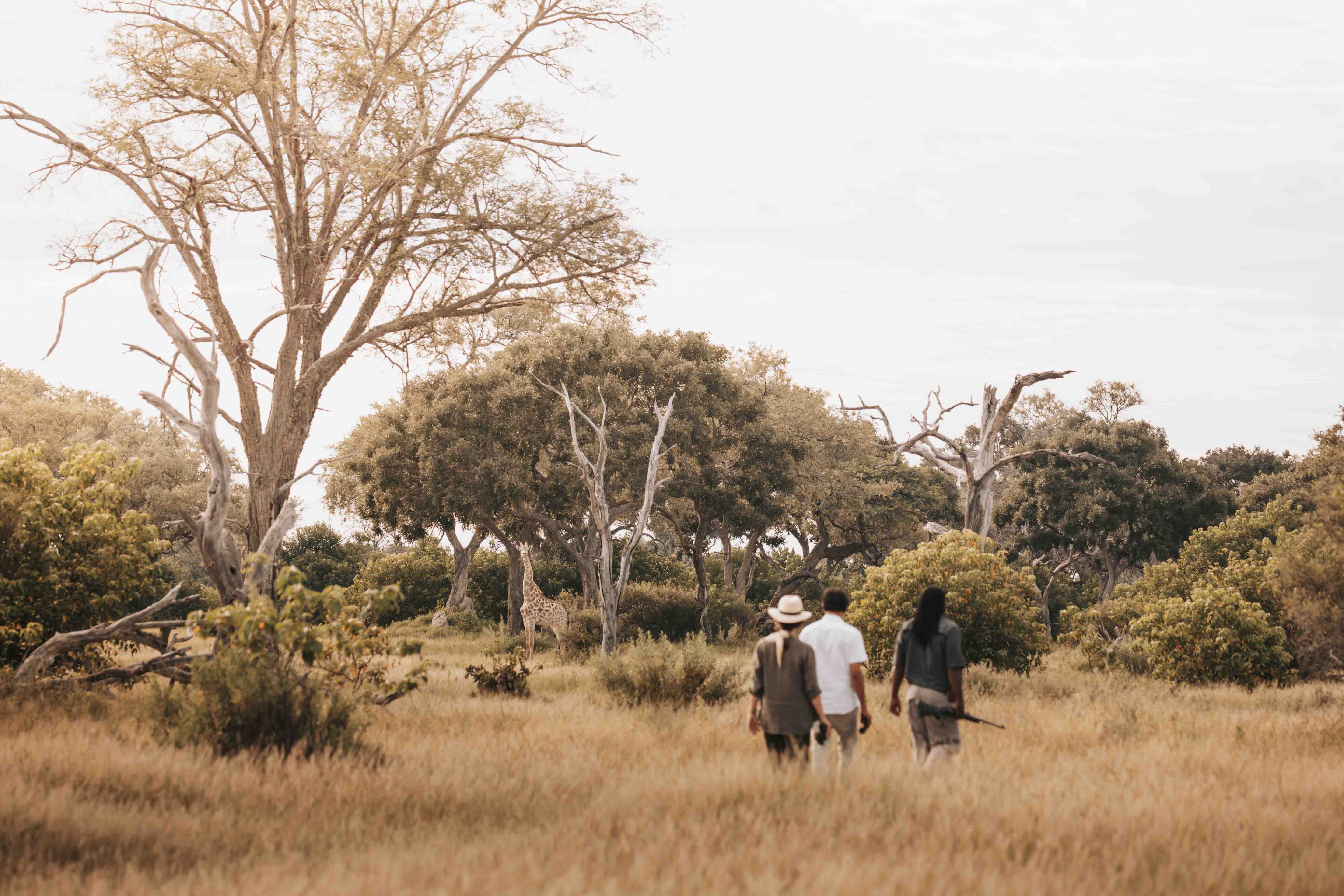 Wilderness Experiences Guided Walks Botswana