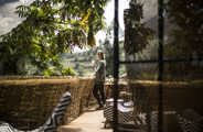 Wilderness Bisate Rwanda Balcony Coffee & Volcanoes view
