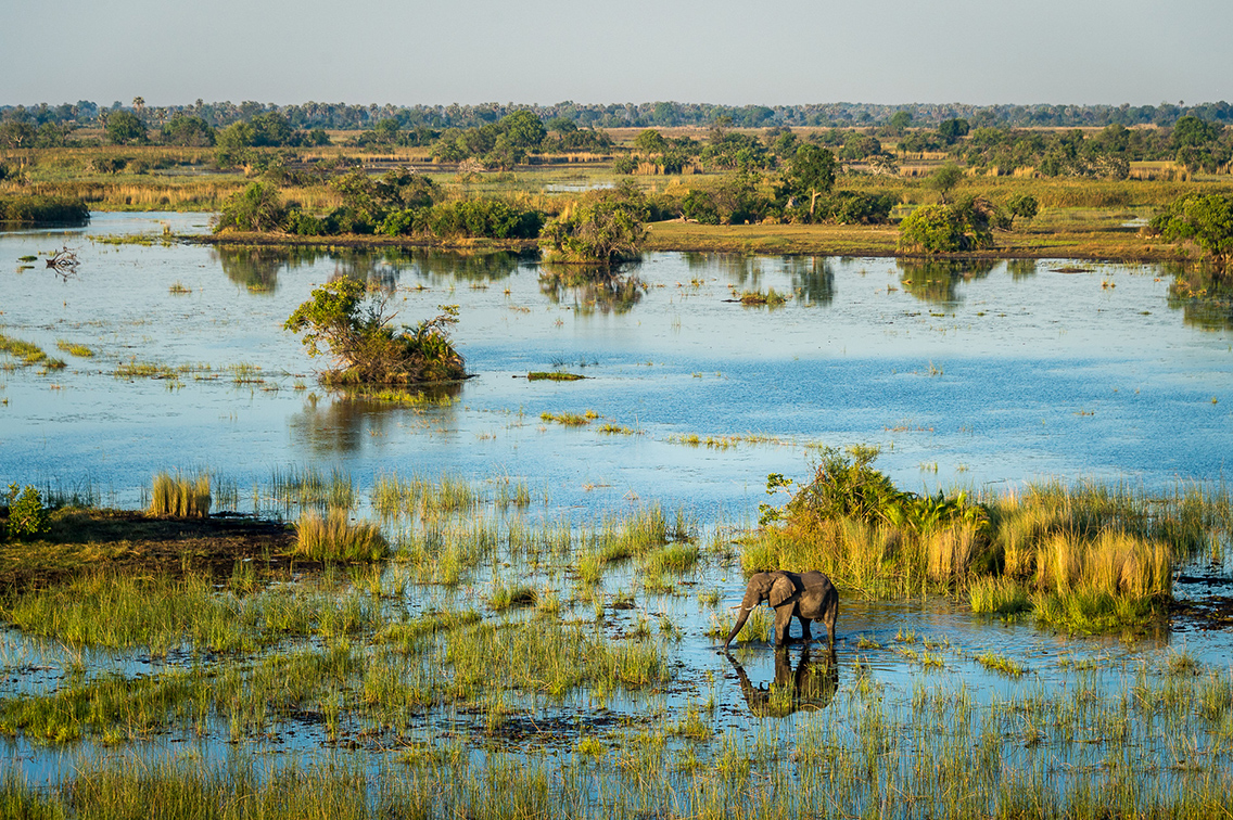 Dramatic wildlife sightings in Chobe National Park Botswana safari