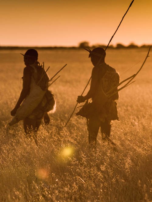 Wilderness Experiences Natural Wonders San Bushman