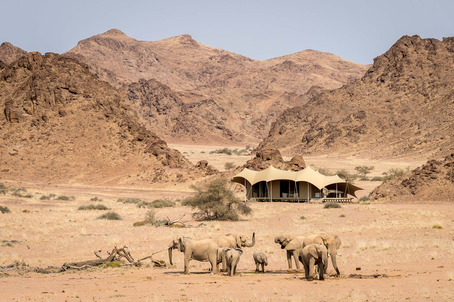 Wilderness Hoanib Skeleton Coast Namibia Hero