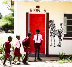 Conservation and community impact in African safari destinations