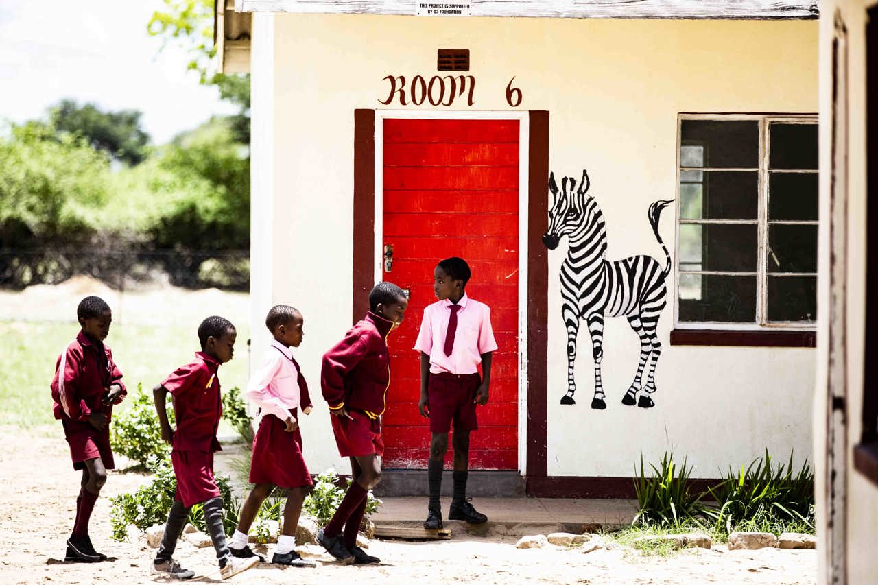 Conservation and community impact in African safari destinations