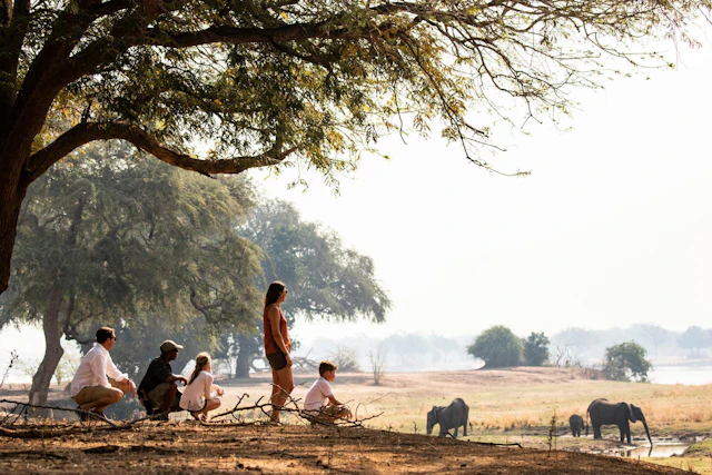 The Best of Zimbabwe: Victoria Falls, Hwange & Mana Pools
