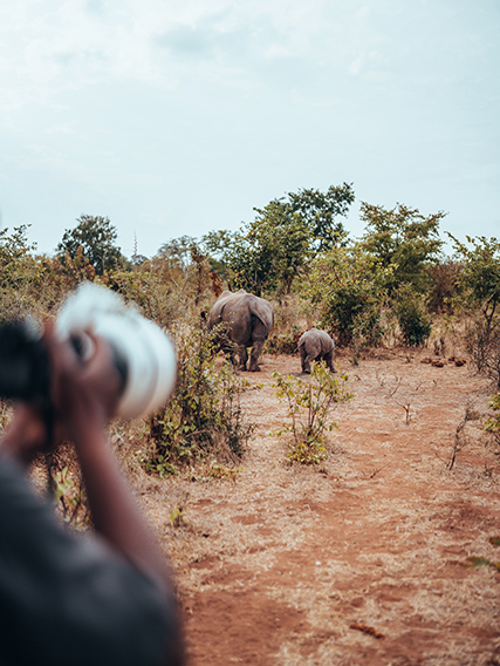Photographic safari in Wilderness Zambia with rhino in the distance