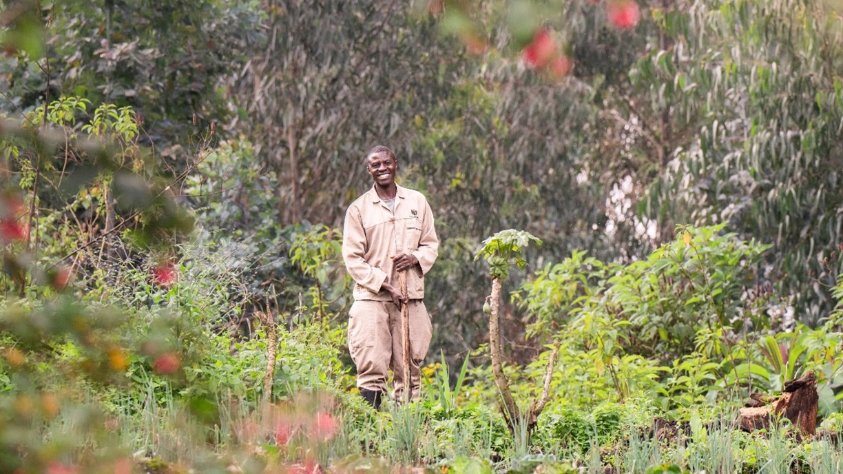 Farmer at the reforestation nursery at Wilderness Sabyinyo