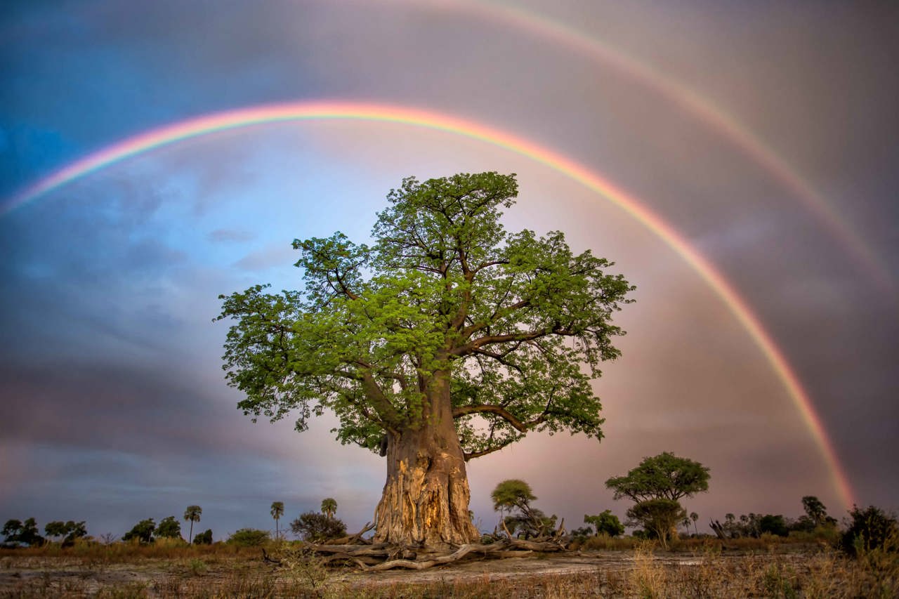 Wilderness Little Mombo Botswana Impact Purpose