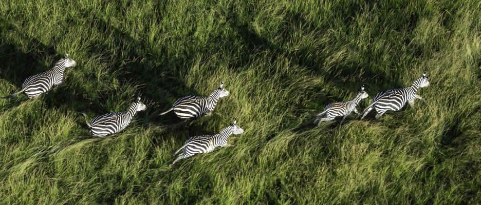 Wilderness Rwanda Akagera National Park