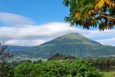 Wilderness Bisate Rwanda Bisoke View