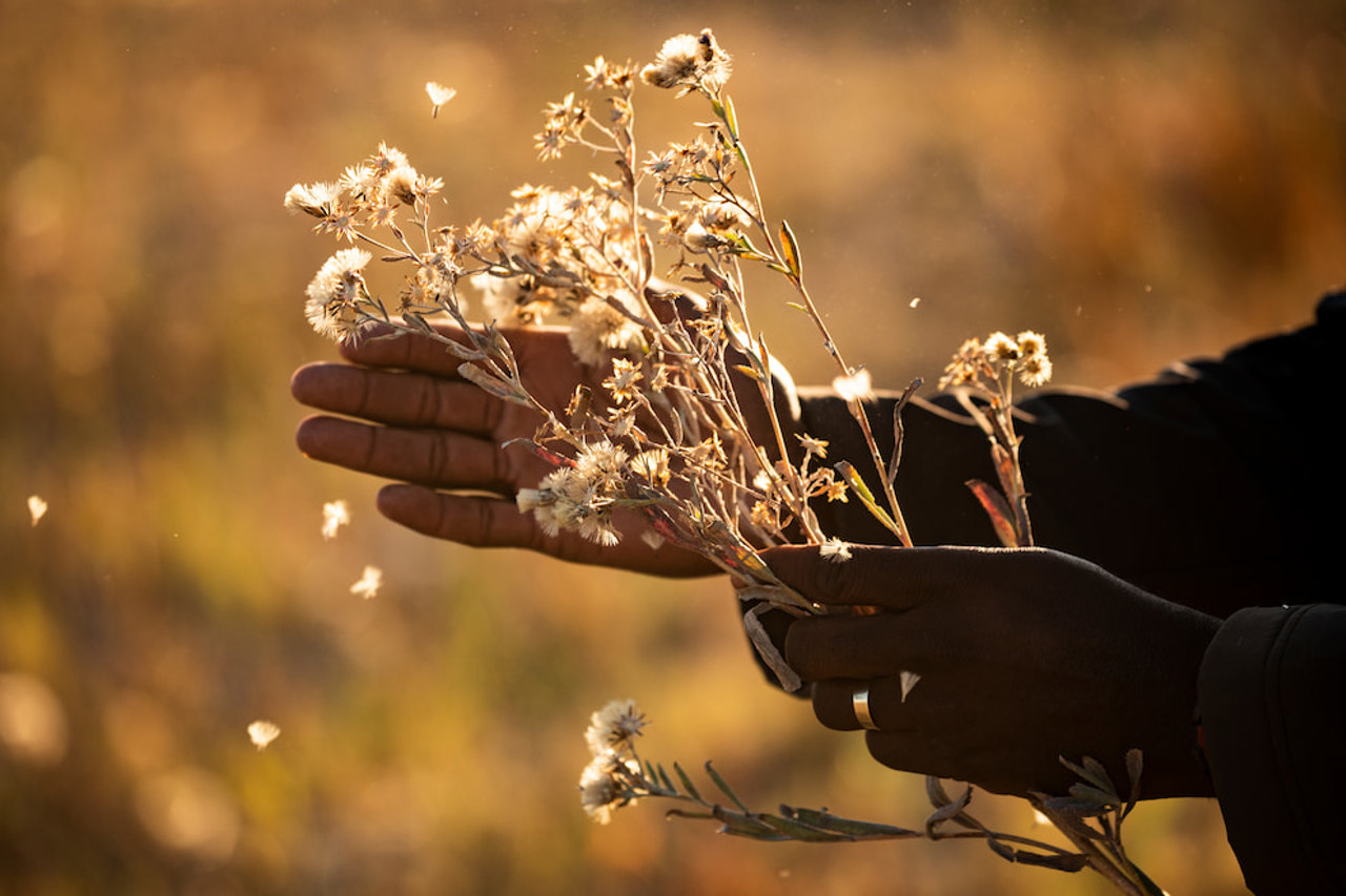 Nature walk allows you to slow down and smell the sage at Jao