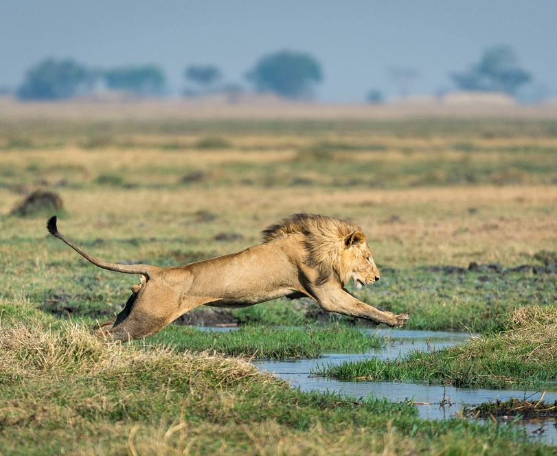 Wilderness Shumba Zambia Area