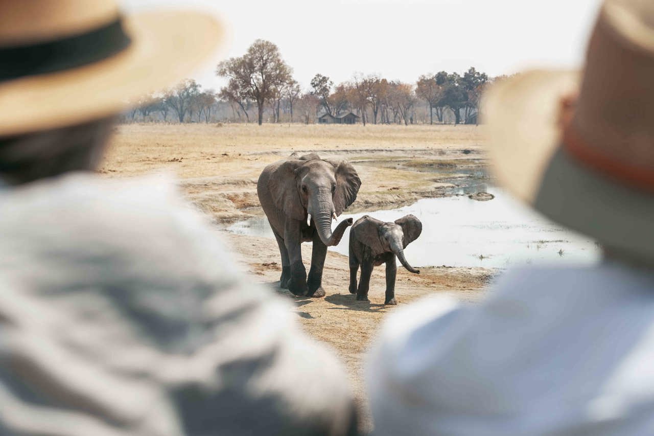 Wilderness Journey Couples Trips Safaris