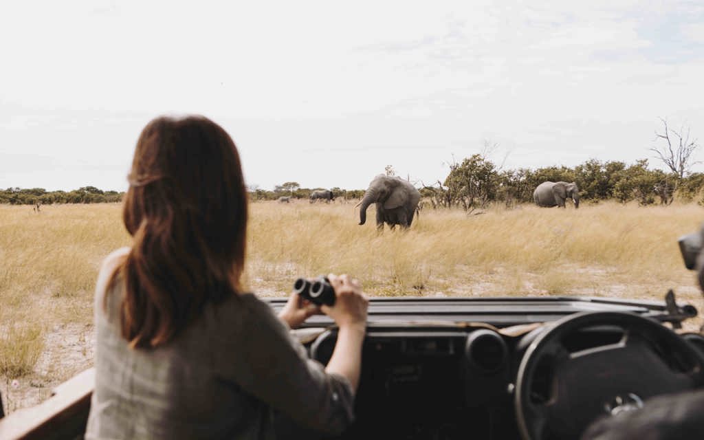 Wilderness Experience Safari Game Drive