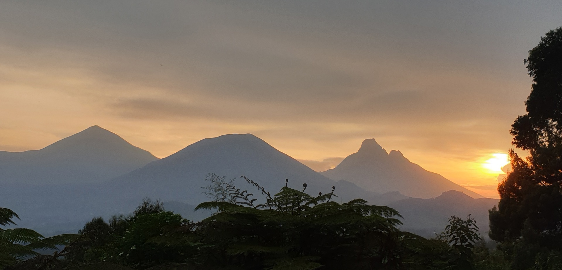 Wilderness Sabinyo Rwanda Volcanic Views