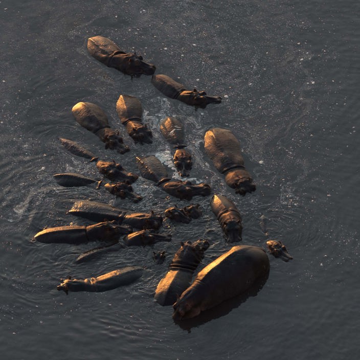 Wilderness Busanga Bush Camp Zambia Hippo Pod