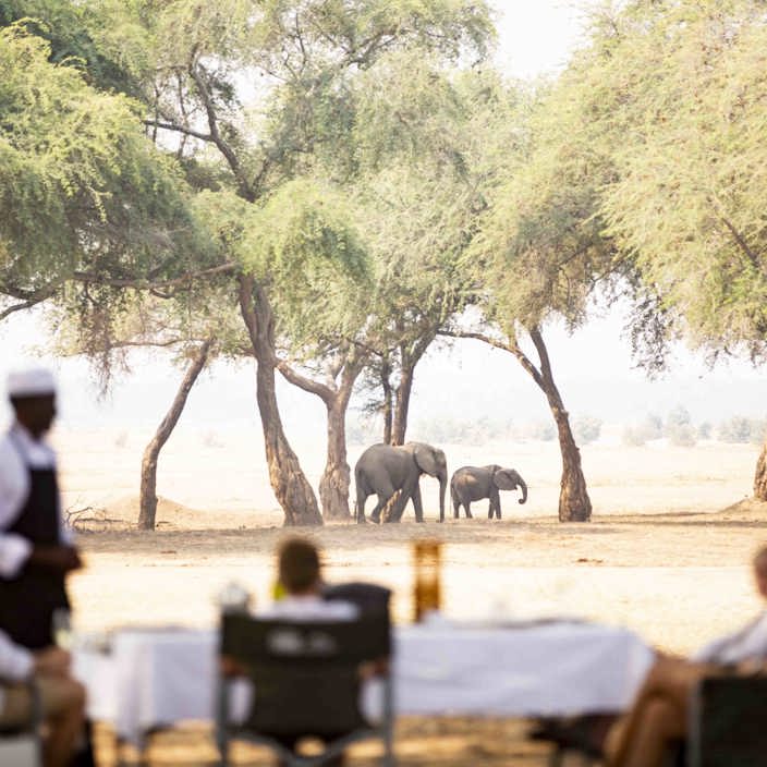 Wilderness Chikwenya Zimbabwe Private Dining