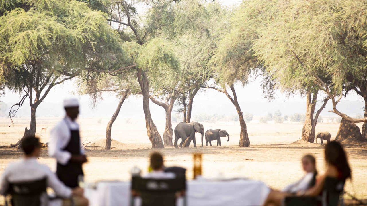 Wilderness Chikwenya Zimbabwe Private Dining