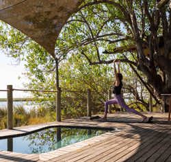 Wilderness DumaTau suites offer a gym in a bag