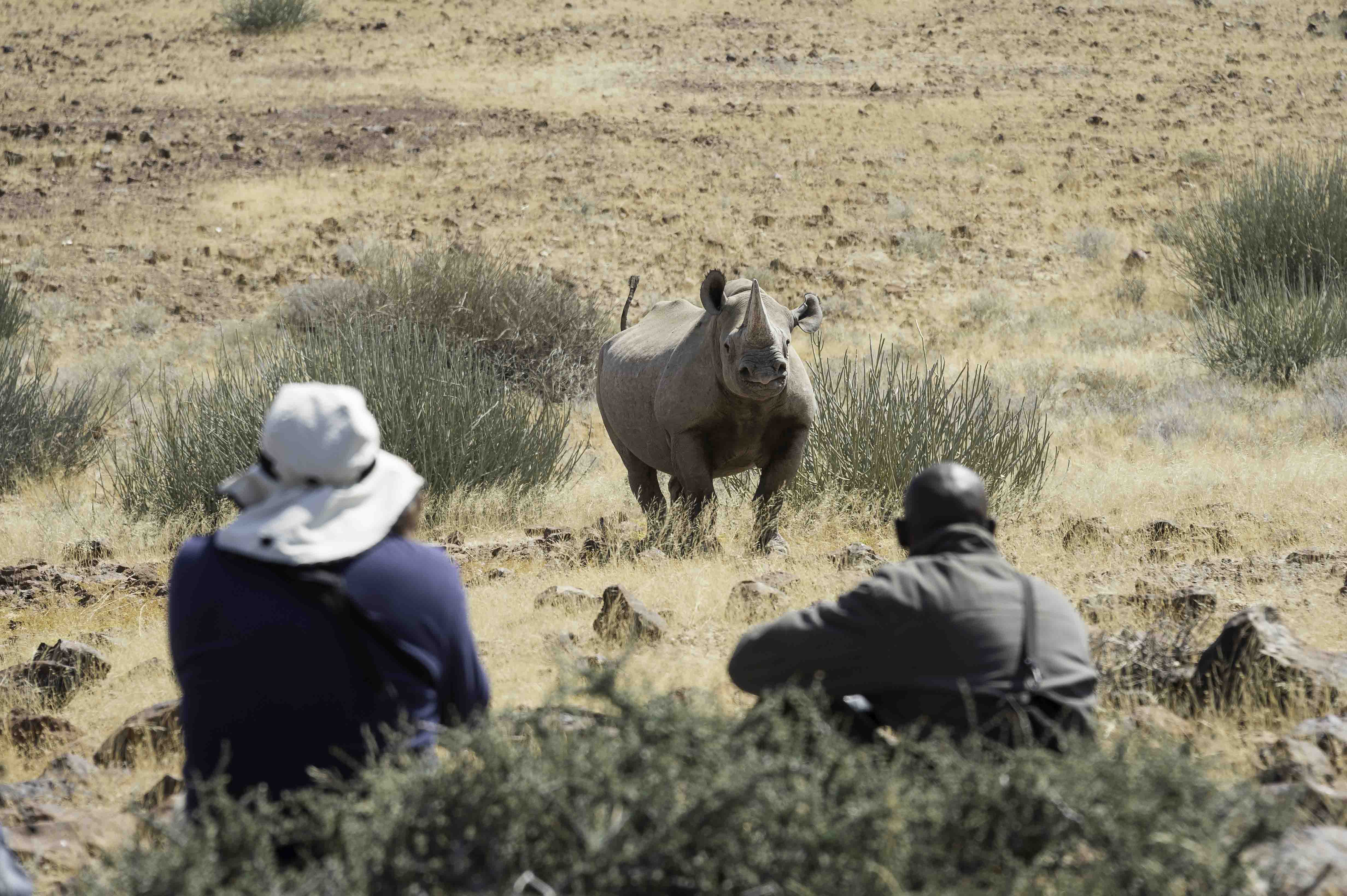 Rhino conservation and trekking 