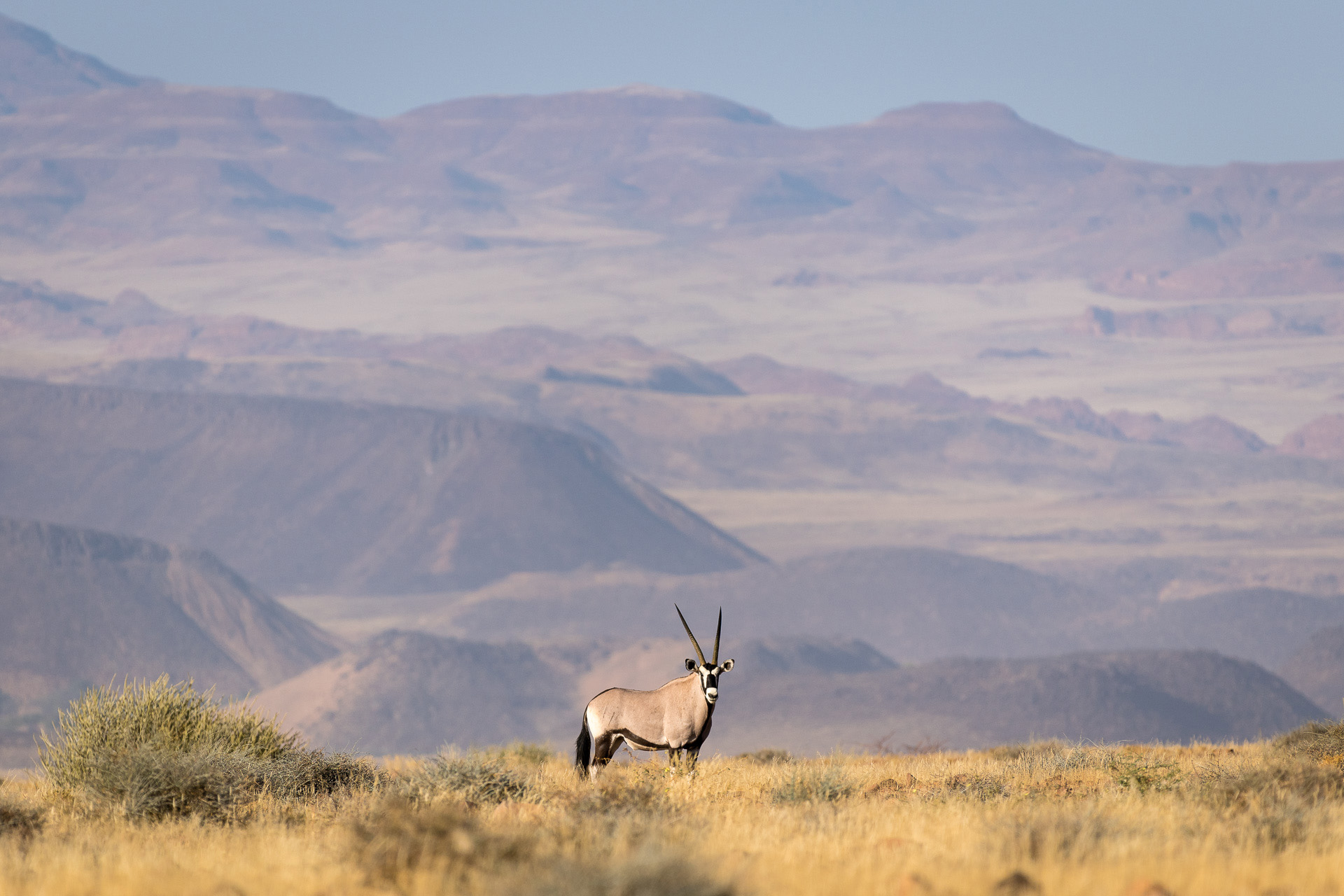 Wilderness Damaraland Camp Namibia Landscape Oryx