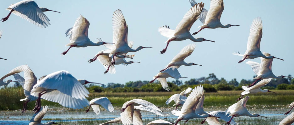 Wilderness Journeys Wildlife & Waterscapes
