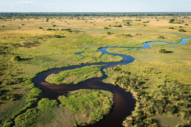 Wilderness Mombo Botswana Delta Channel