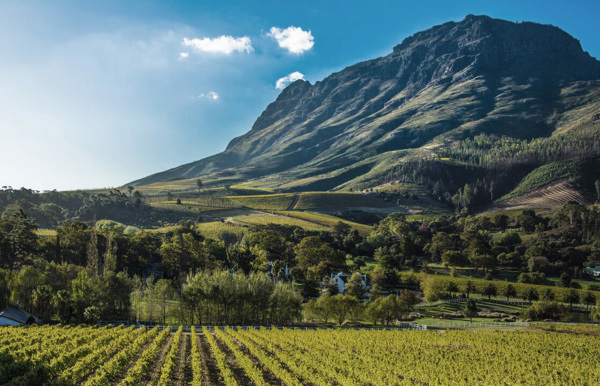 Stellenbosch Wine Lands Wilderness Touring Cape Town