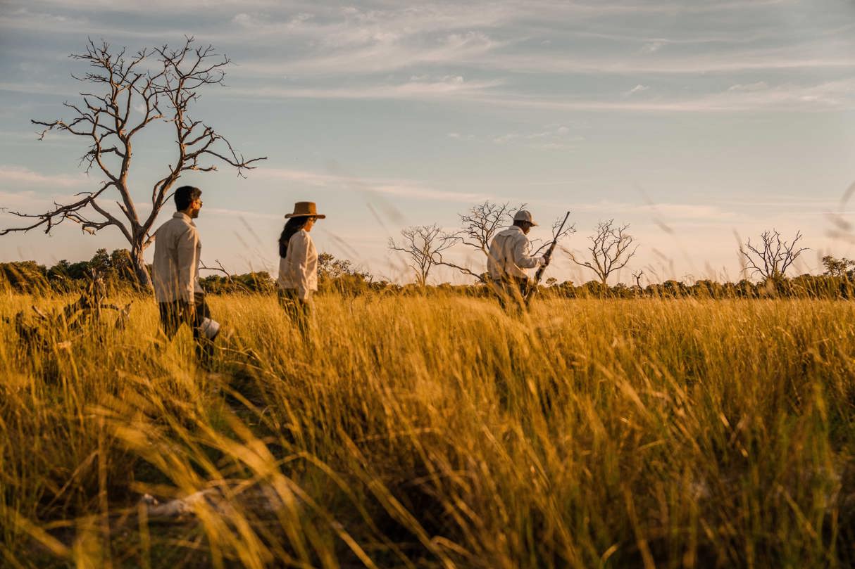 Two tourists and a safari guide (armed for safety) on a guided nature walk through golden savanna grass and thorny brush in the Okavango Delta at sunset.