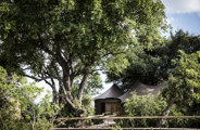 Wilderness Little Mombo Botswana Accommodation Suite Exterior