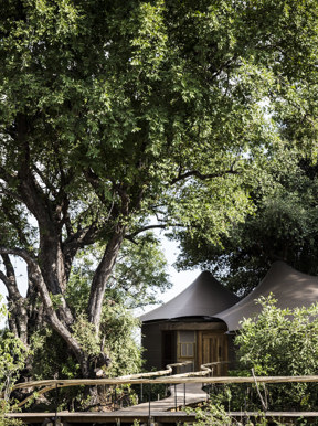 Wilderness Little Mombo Botswana Accommodation Suite Exterior