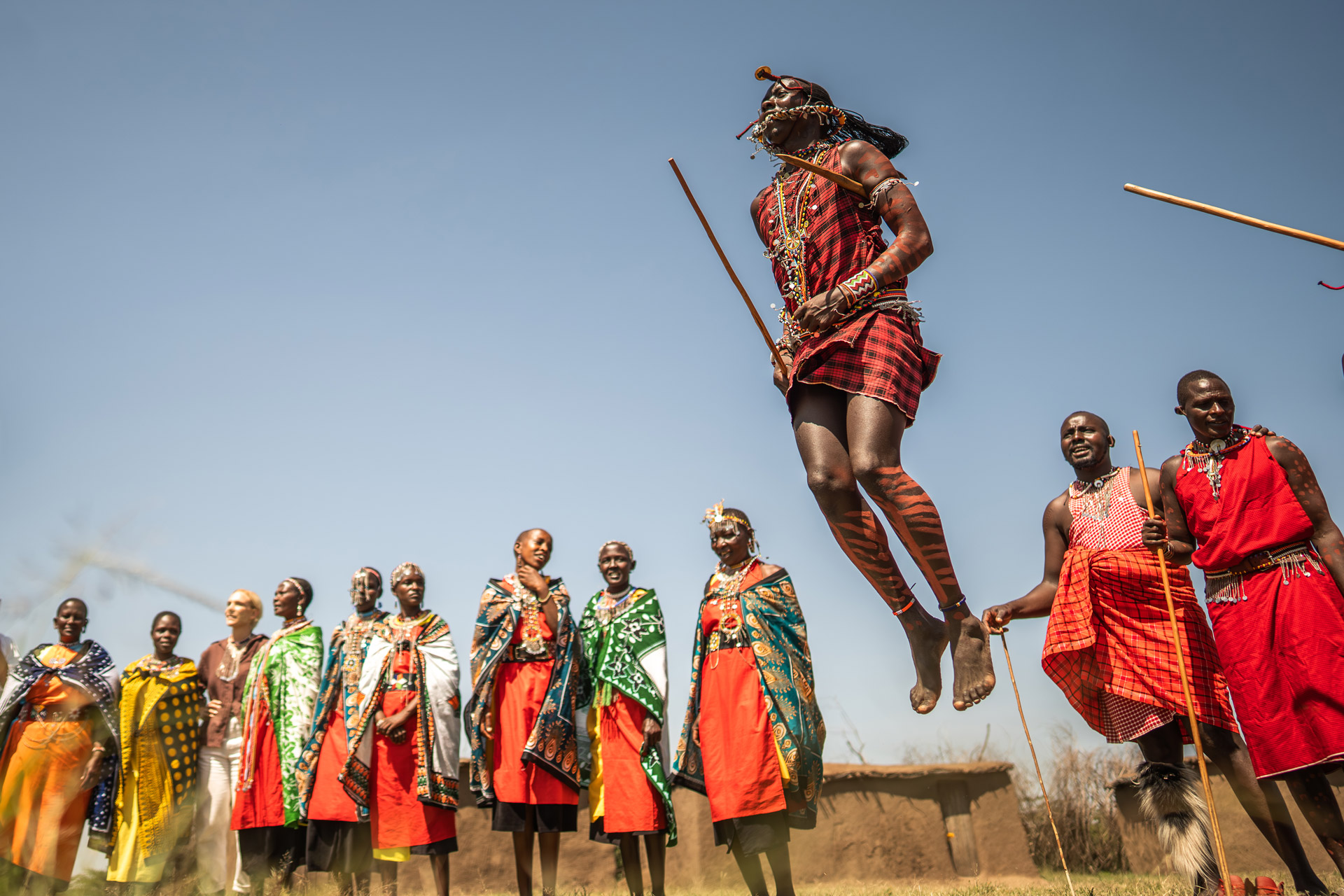 Maasai warriors performing the traditional jumping dance in colourful clothing Wilderness Mara, Kenya