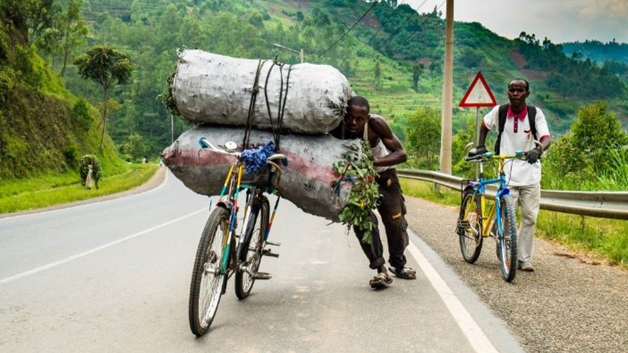 Potato farming in Rwanda Sustainability