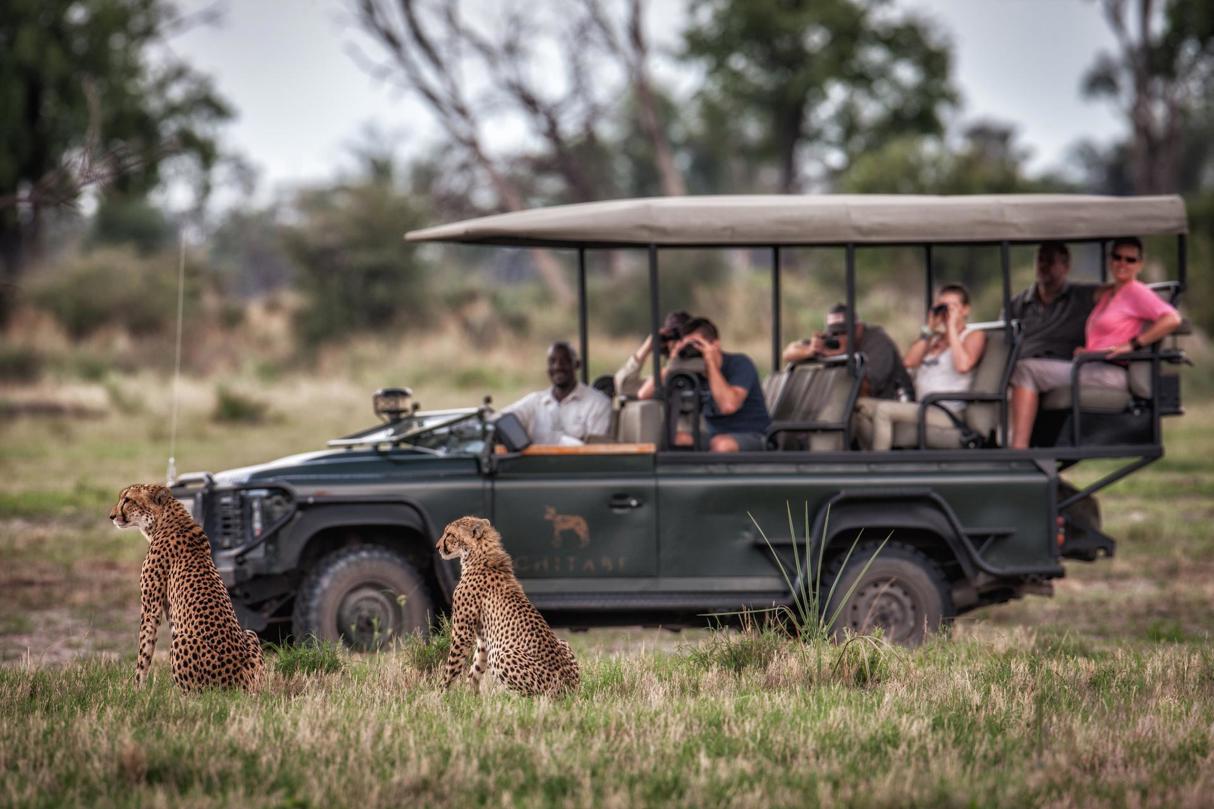 Friends reunited at Chitabe on a game drive