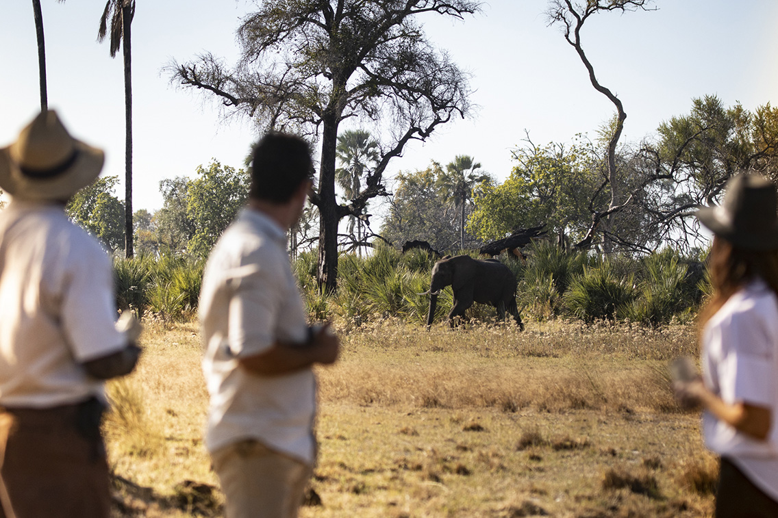 Wilderness Jao Activities Walking Hunda