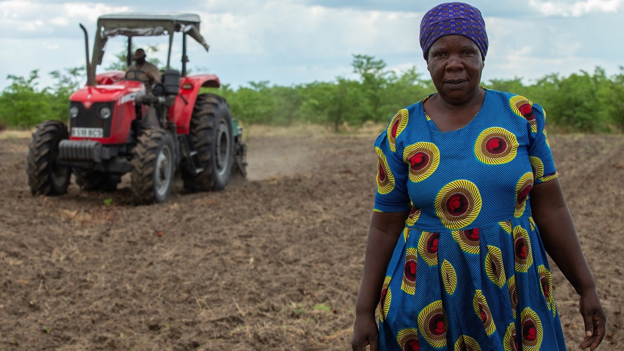Conservation impact work and sustainable farming in Okavango Delta Botswana